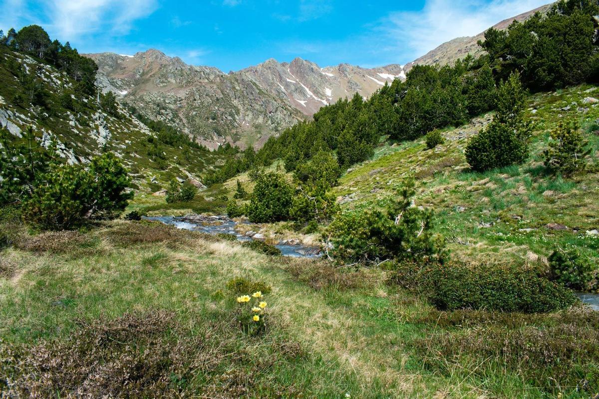 Parque Comapedrosa, Andorra