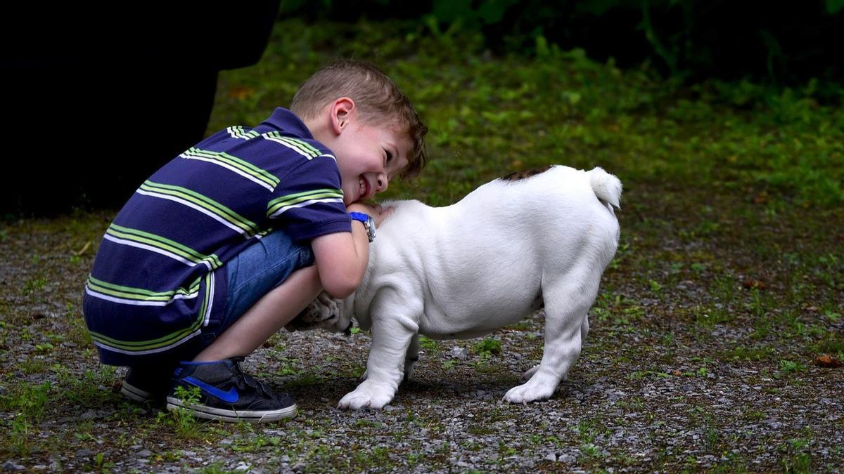 Un niño abraza a su perro.