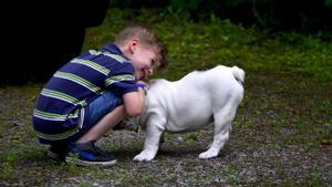 Un niño abraza a su perro.