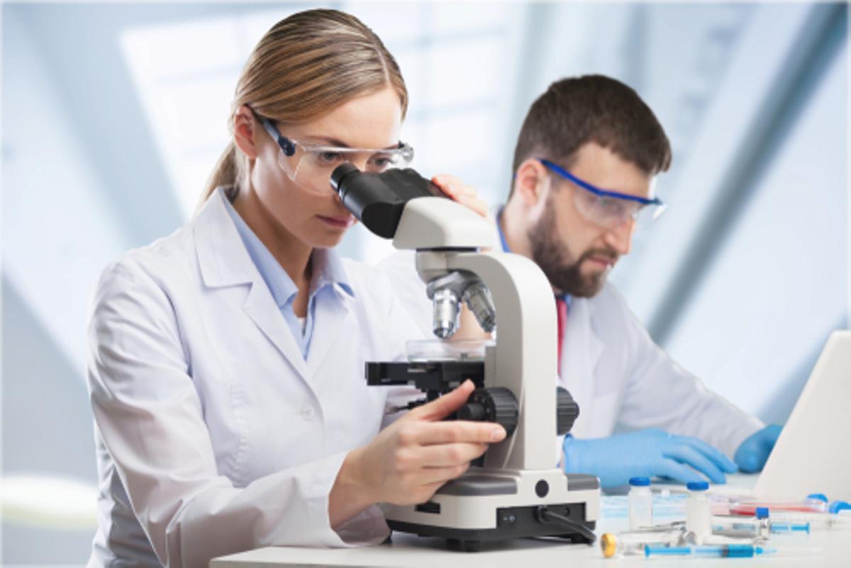 Oferta de empleo en Valencia