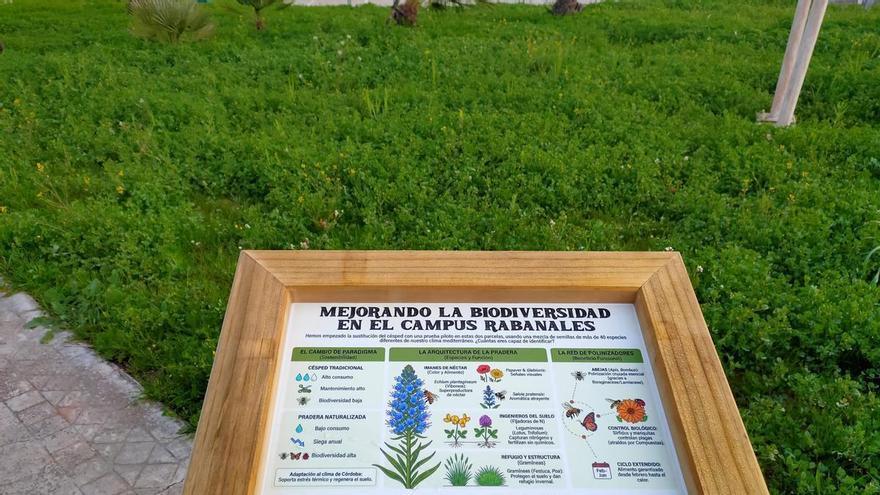 La Universidad de Córdoba impulsa la moda sostenible y el ahorro energético en su Plan de Sostenibilidad Ambiental
