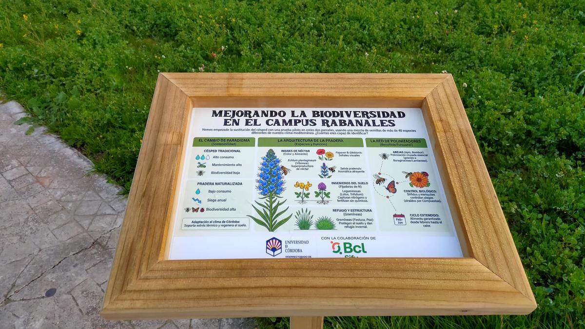 La UCO está transformando sus infraestructuras verdes en un proceso de renaturalización.