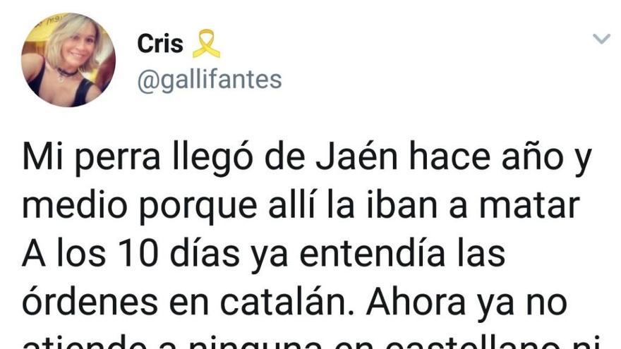 Oleada de burlas en Twitter a una usuaria catalana que afirma que su perra &quot;ya no entiende el castellano&quot;