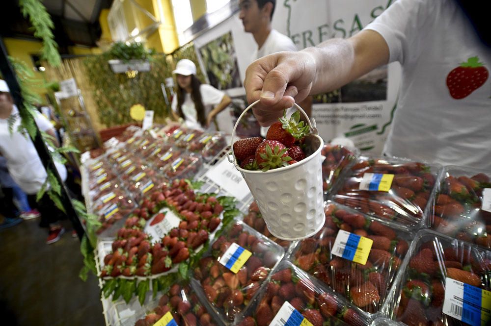 Feria de la fresa de Valsequillo, 2017