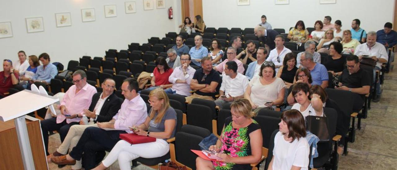 Pleno de elección de Eva Sanz, en la Mancomunitat de l&#039;Horta Sud.