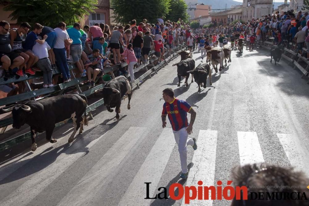 Segundo encierro de Calasparra