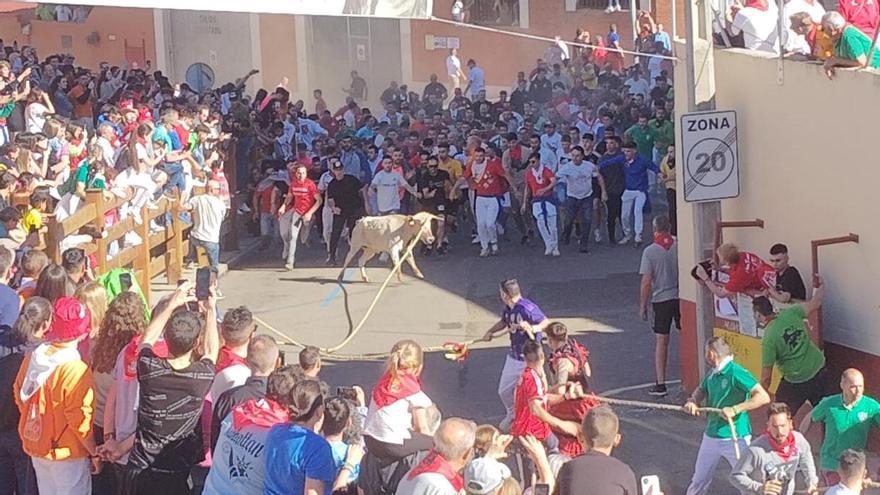 VÍDEO | Resumen del Torito del Alba, Benavente 2024