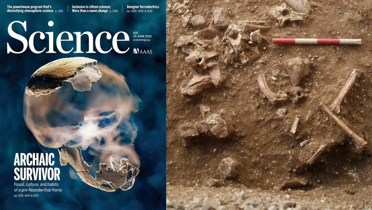 A la izquierda, portada de la revista Science de este jueves. A la derecha, vista al yacimiento arqueológico donde se ha hallado este fósil.