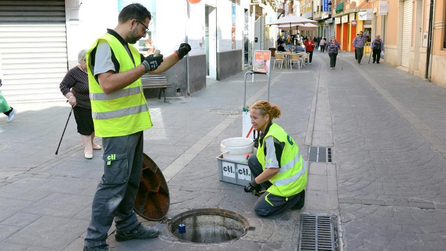 Sanidad incrementa las actuaciones de desratización en Paiporta