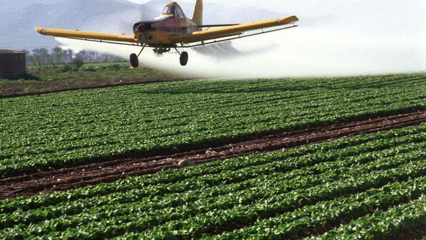 Avioneta de fumigación en el Campo de Cartagena.