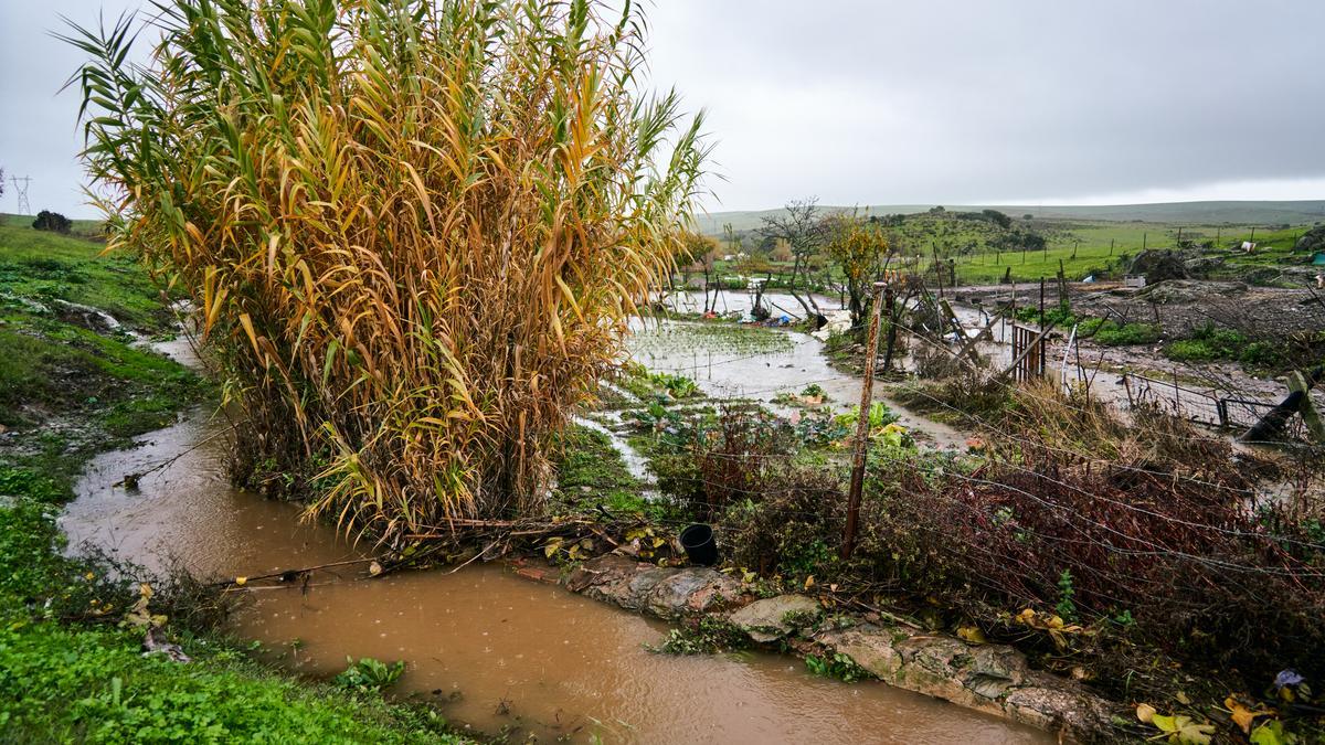 Huertas anegadas en la Ribera del Marco, en Cáceres, por las intensas precipitaciones.