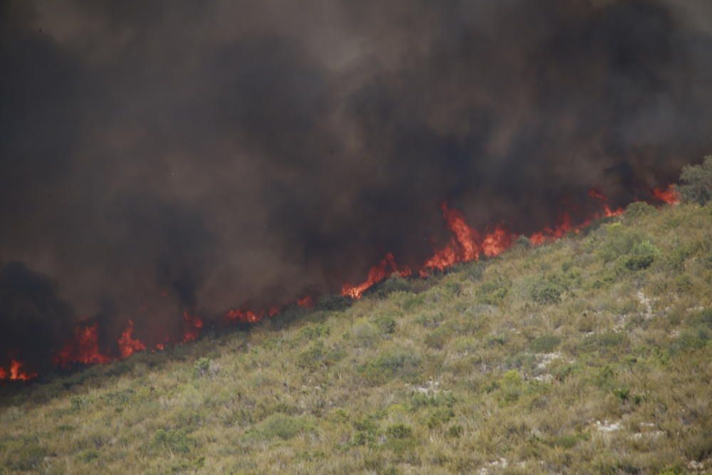 Incendio forestal en Llutxent