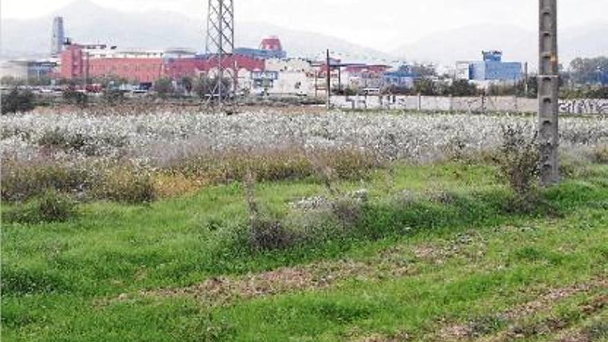 Terrenys entre Salt i Vilablareix en els quals aviat es podran construir noves superfícies.