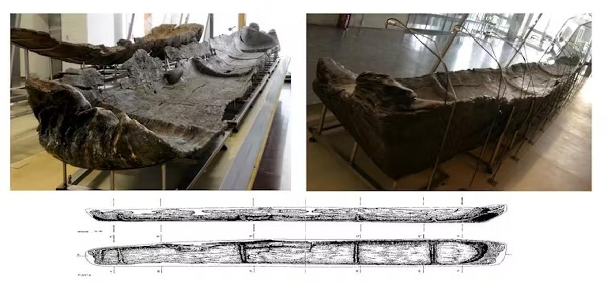The canoe Marmotta 1, is excavated in an oak trunk and has a length of 10.43 meters, a width of 1.15 meters in the stern and a width of 0.85 meters in the bow, and a height of 65 to 44 centimeters.