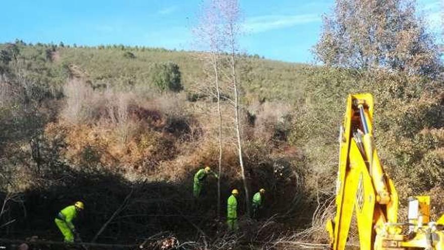 Trabajadores de Tragsa actúan en uno de los cauces.