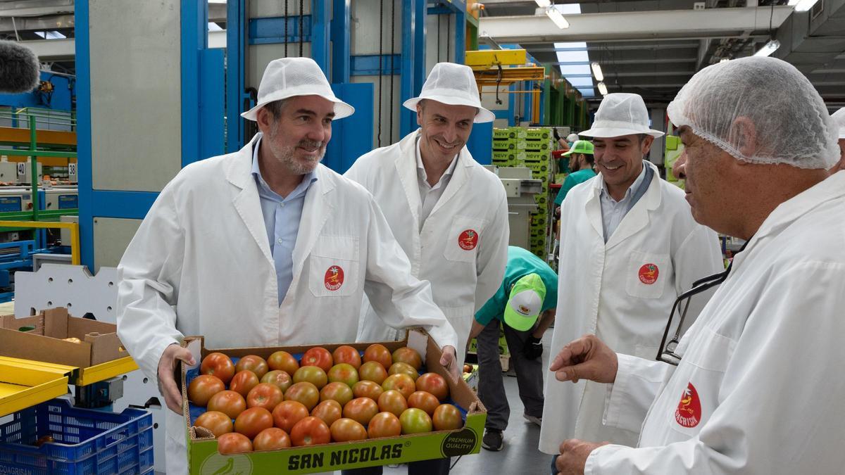 Fernando Clavijo enseñando una caja de tomates de La Aldea, Víctor Hernández, Narvay Quintero y Marcelo Rodríguez.