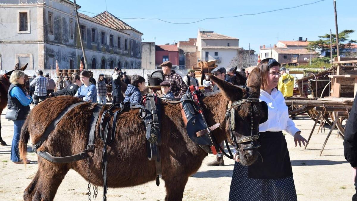 Els Tres Tombs de Santpedor, en imatges