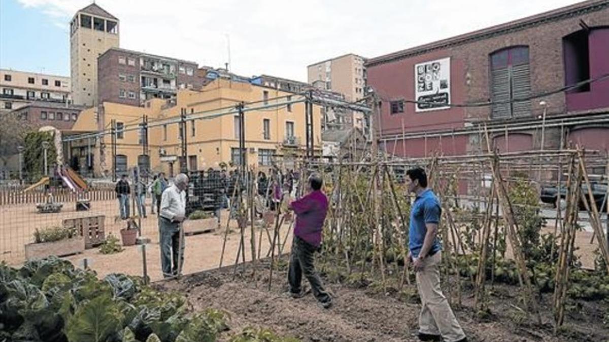 Recibimiento verde 8 Un huerto da la bienvenida a la nueva vida de Can Batlló, con la torre de la parroquia de Sant Medir al fondo.