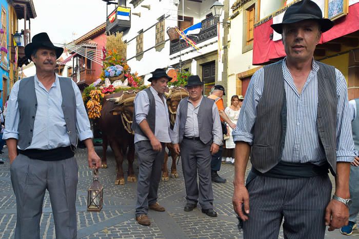 Carretas y grupos en la romería del Pino