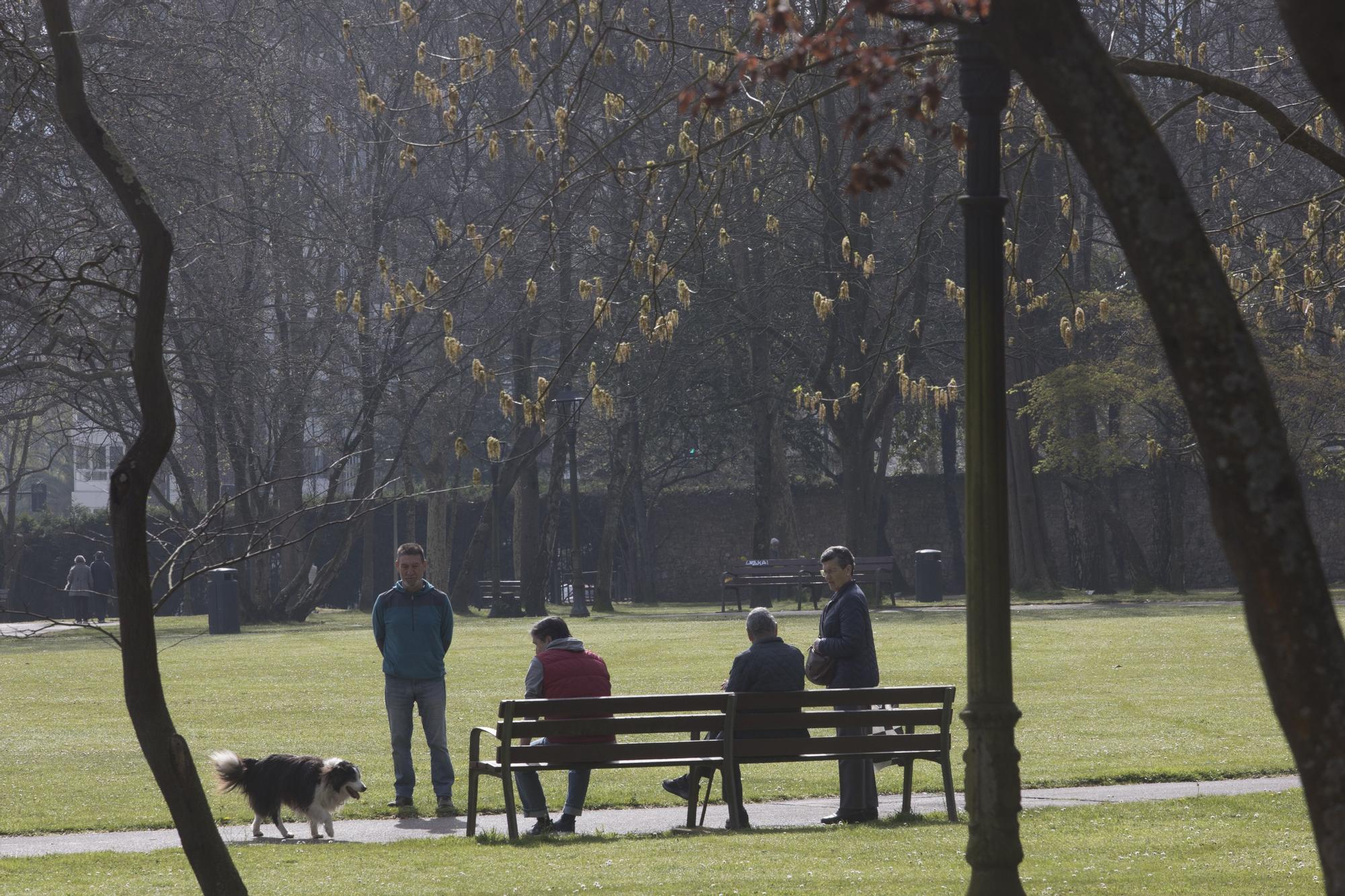 La primavera ya está llegando y así se deja notar en Avilés