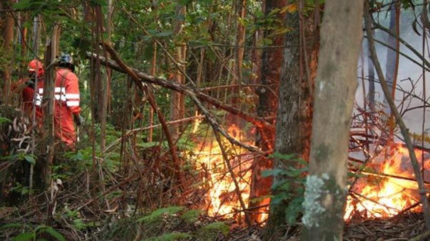 Uno de los últimos incendios del verano en Bueu se produjo en el lugar de A Graña.  // G. Núñez