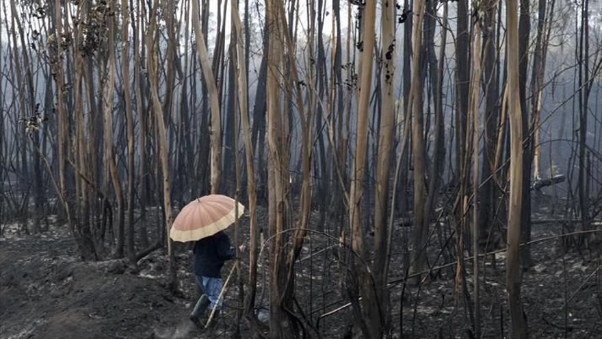 El ‘espíritu Prestige’ renace para superar la tragedia del fuego