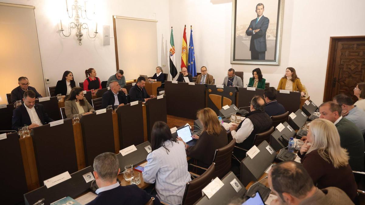 FOTOGALERÍA | El último pleno del año de la Diputación de Cáceres, en imágenes