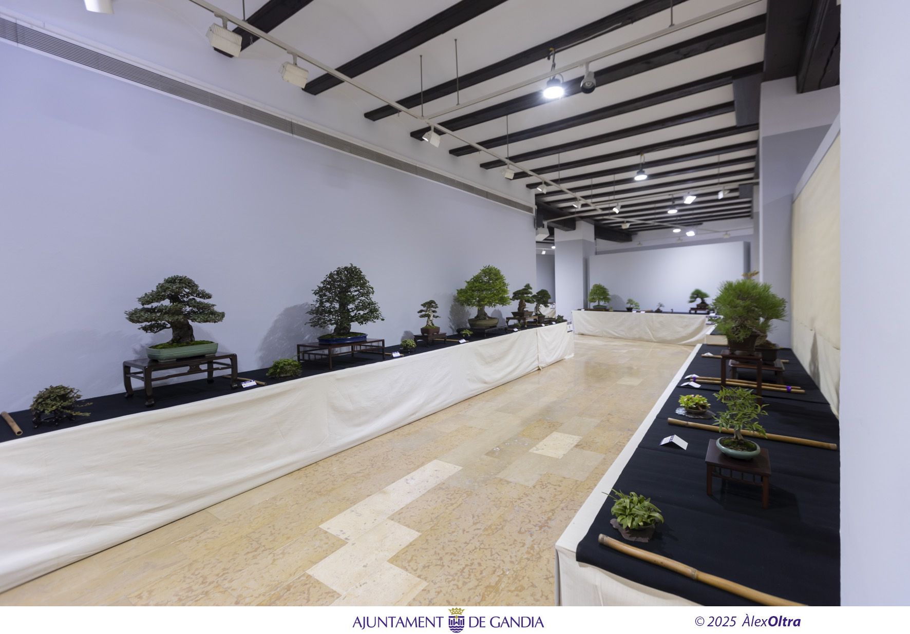 Un fin de semana de Fira de Gandia resumido en un montón de bellas imágenes