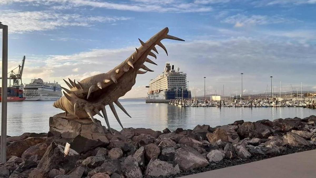 Imagen de los muelles comercial y de cruceros de Puerto del Rosario.