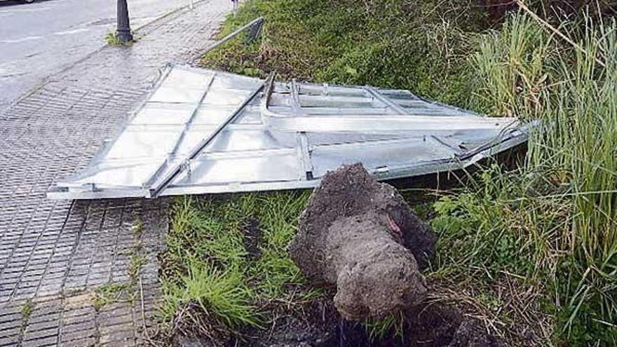 El temporal tira vallas, chapas y árboles