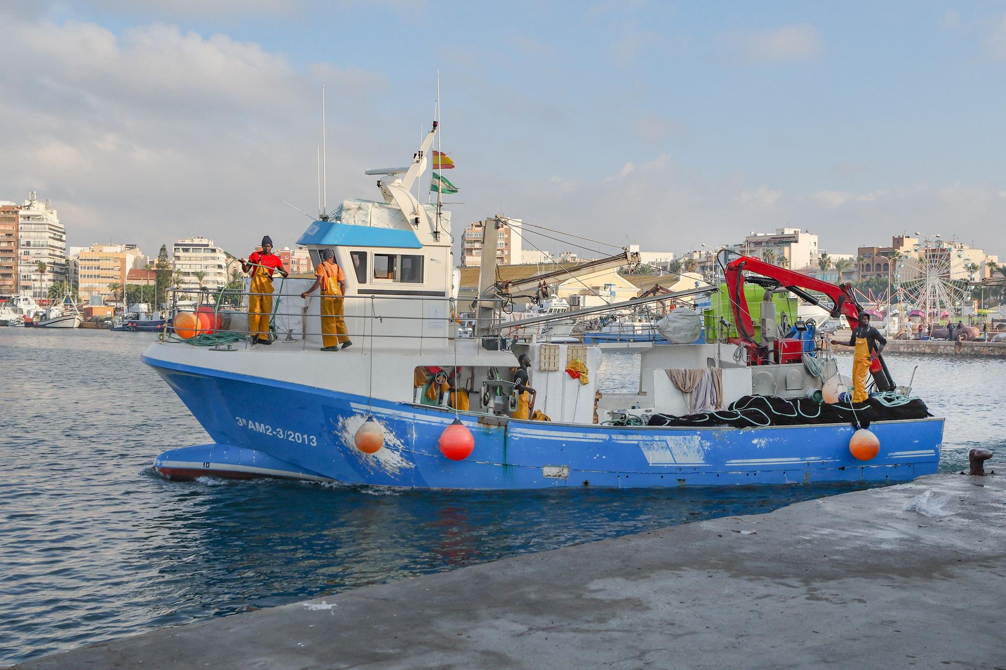 La subasta de la nueva lonja pesquera de Torrevieja se estrena con la venta de 13.000 kilos de boquerón y sardina