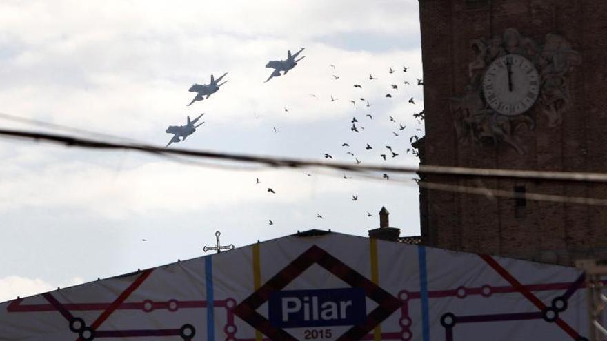 A la Virgen del Pilar le caen flores desde el cielo