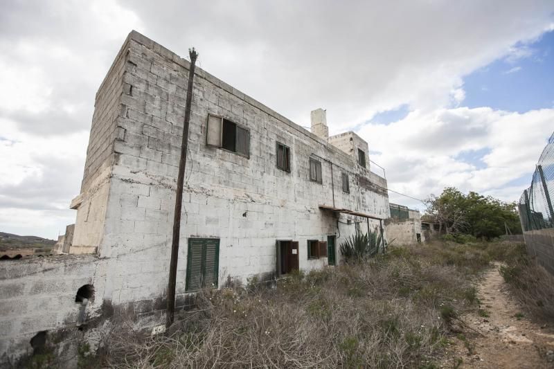 Finca de Arona donde han hallado animales muertos