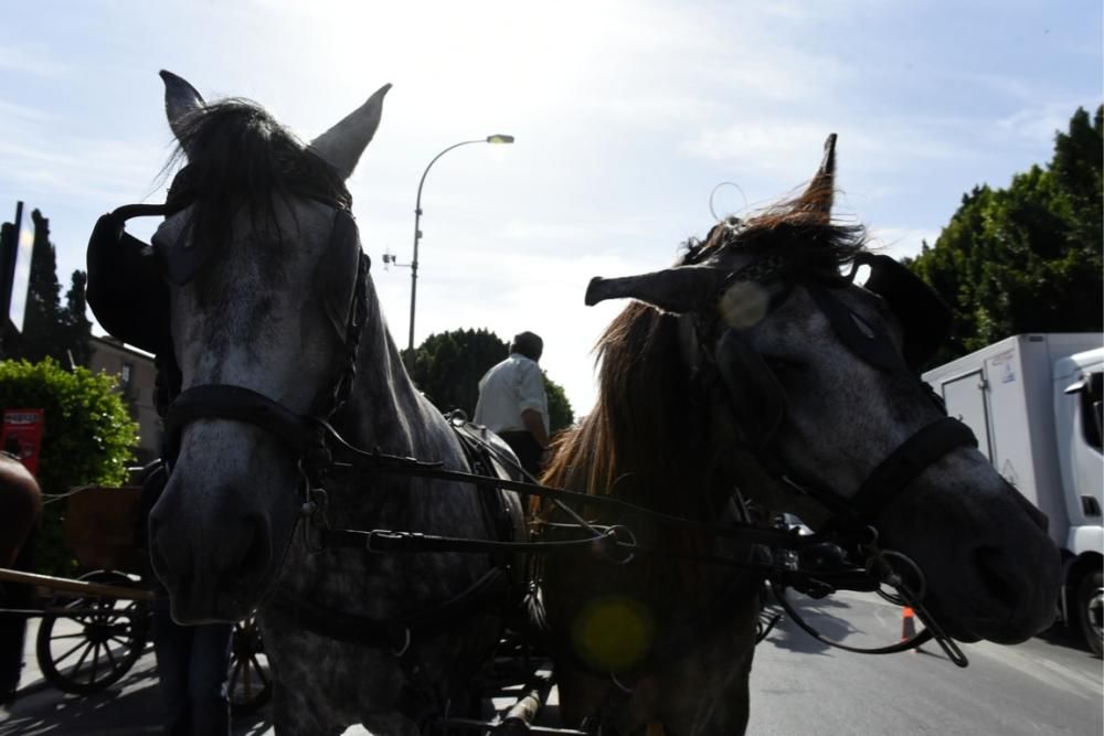 Ruta en carro al corazón de la Huerta