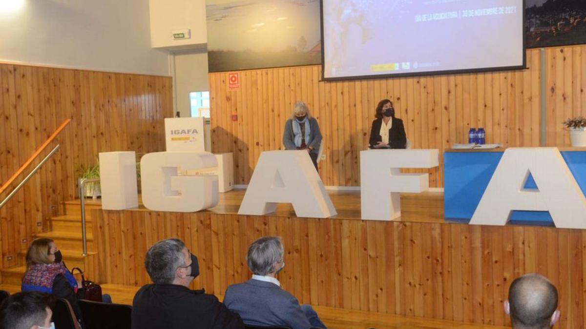La Xunta ensalza la labor clave del Igafa en formación sobre acuicultura y  buceo - Faro de Vigo