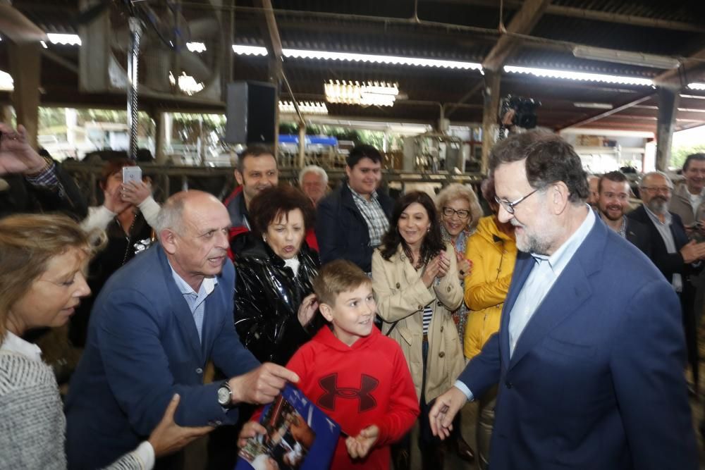 Visita de Mariano Rajoy a una ganadería en Gozón (Asturias)