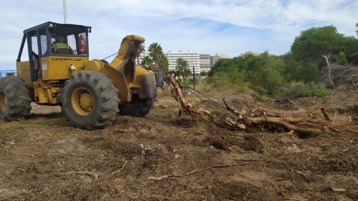 Comienzan las obras de restauración de la Caleta del Estacio