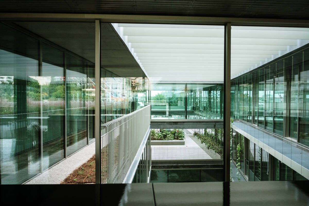 251010DMA_Bernardo A (225269432).jpg