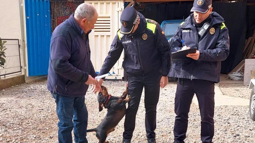 La Policia Local de Solsona comença una campanya informativa sobre la nova normativa dels gossos