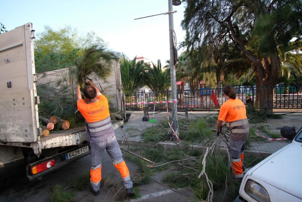 Cinco personas resultan heridas por la caída de la rama de un árbol en Elda