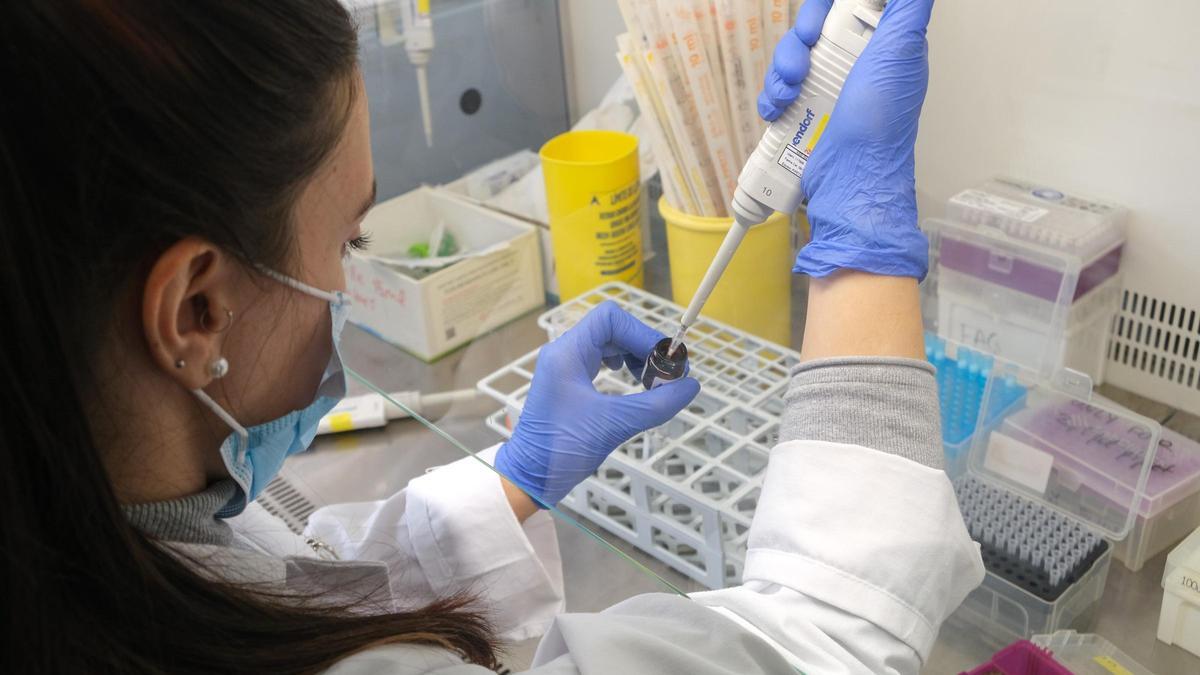Investigadores del instituto Isabial de Alicante investigan la relación entre ácaros y cáncer de pulmón