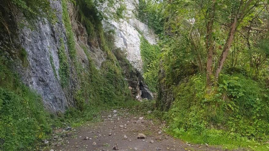 Despejada la carretera entre Sobrefoz y San Juan de Beleño que se cortó por un argayo