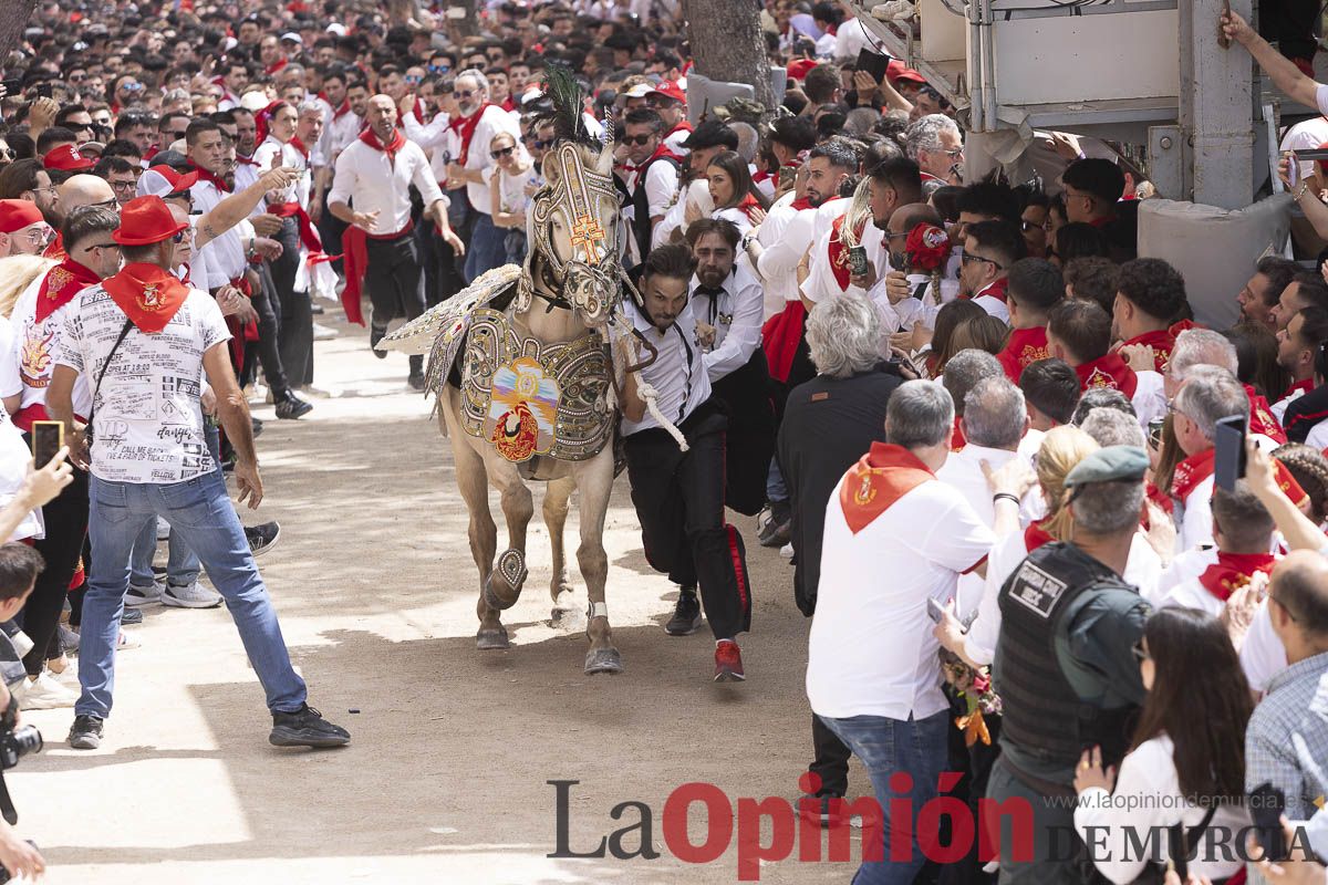 Así se ha vivido la carrera de Los Caballos del Vino en Caravaca