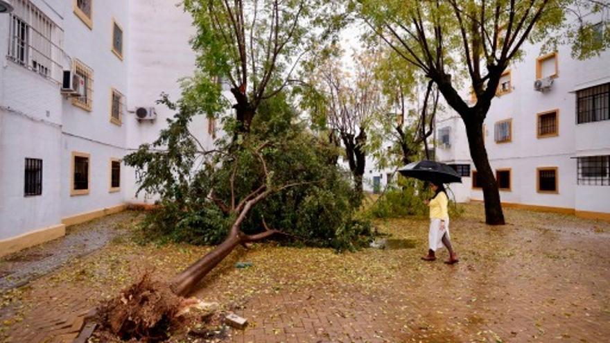 Estos son los titulares que marcan la actualidad de Córdoba hoy