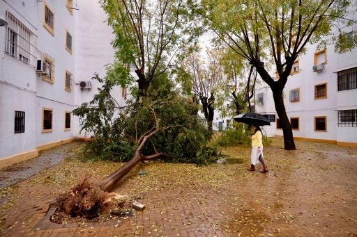 La borrasca Claudia siembra el caos en Córdoba