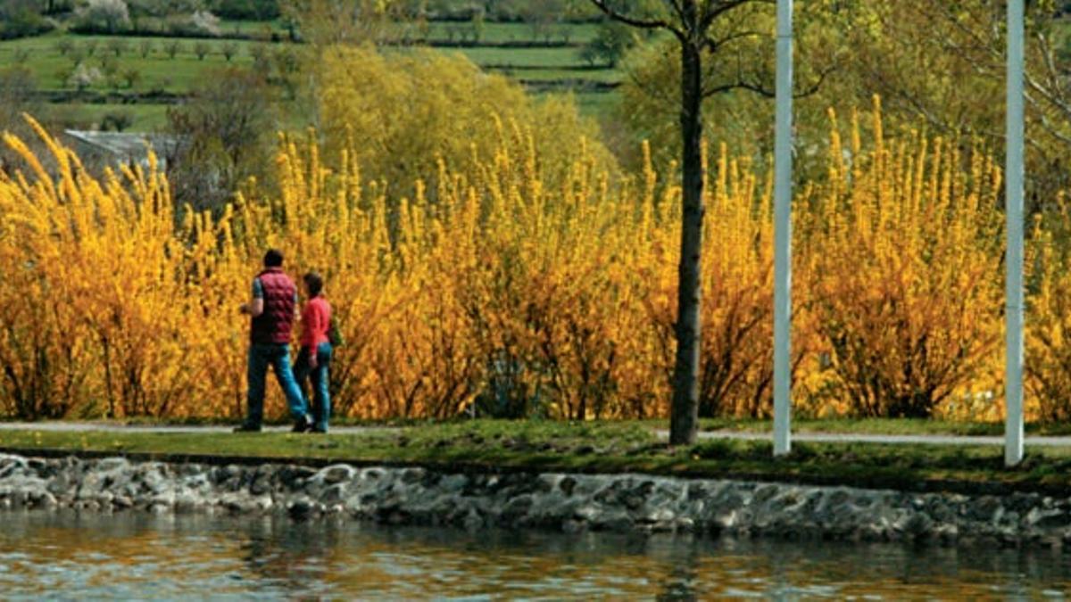 Parc Olìmpic del Segre en La Seu.