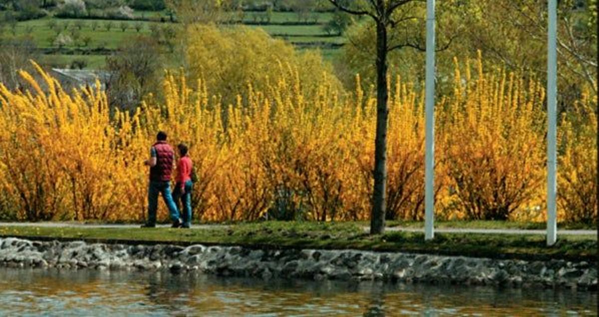 Parc Olìmpic del Segre en La Seu.