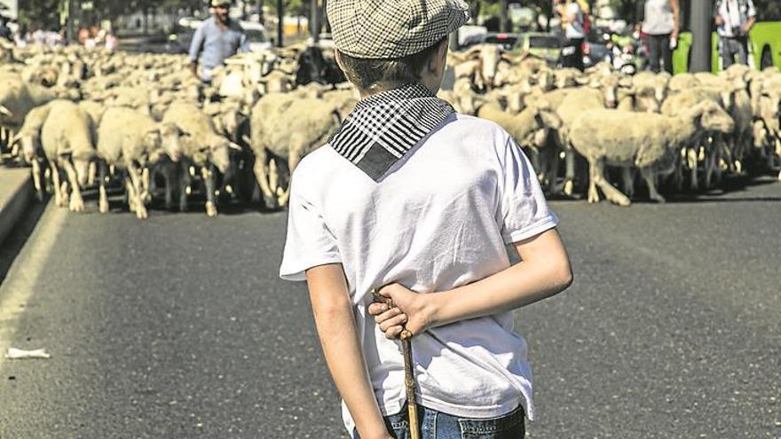 El pastoreo ‘salta’ a la escuela