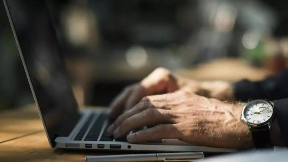 Una persona consultant amb l'ordinador