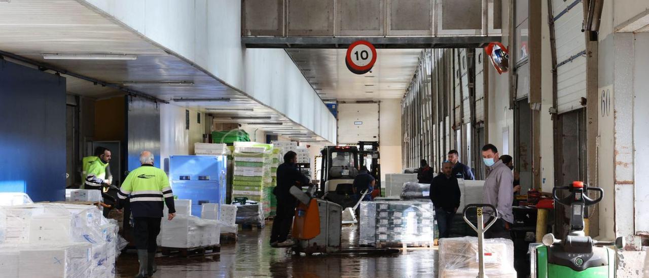 Trabajadores en la lonja de Vigo el pasado marzo. | ALBA VILLAR